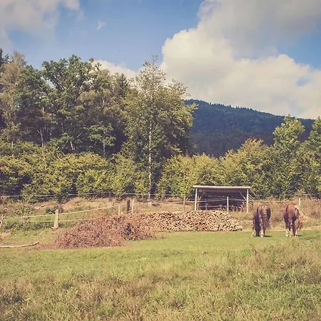 Agroturismo Wirtshof Mühlbauer